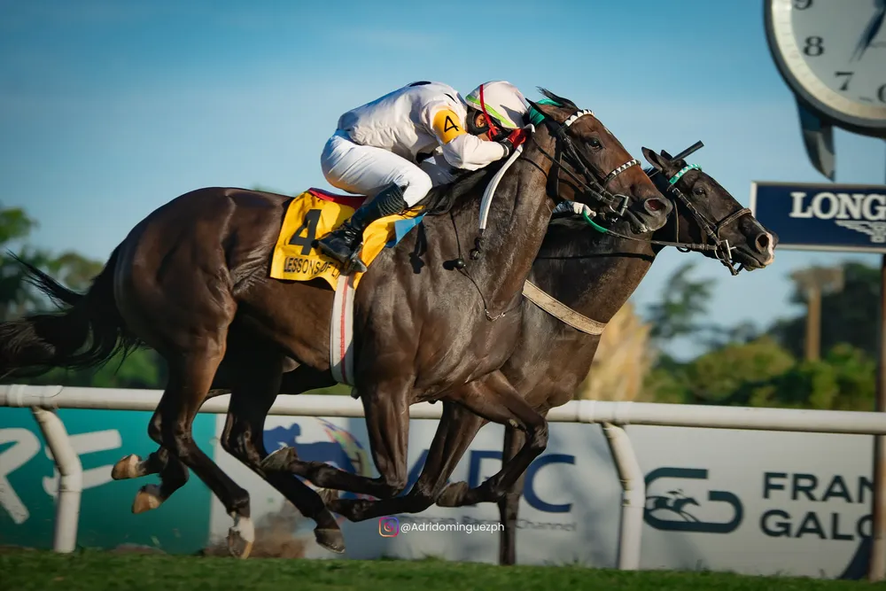 LESSONS OF LIFE (2 de 5)