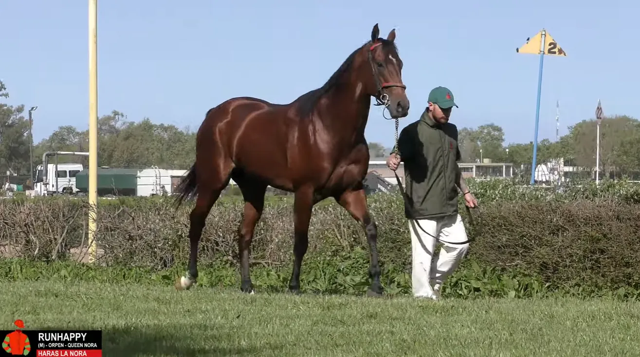 Captura de pantalla 2024-10-08 133555