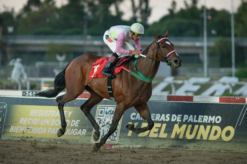 blessed shine 1203 (1 de 5)