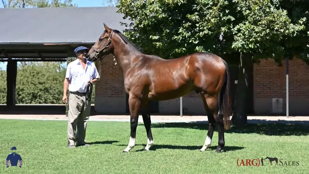 Captura de pantalla 2026-03-26 103329