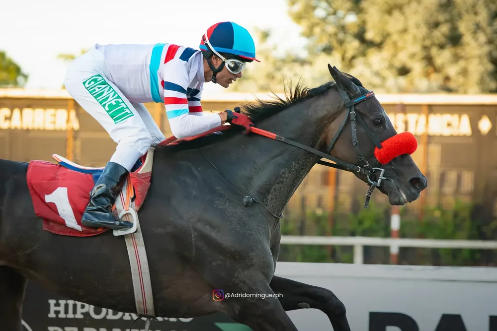 its my look web (1 de 1)