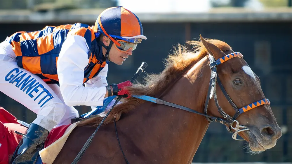 540710112_18290485081281511_2896020749800033885_n