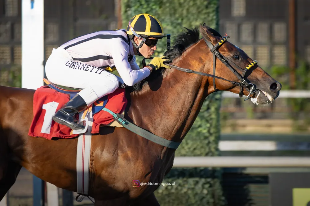 COMANDO SECRETO 0301-4