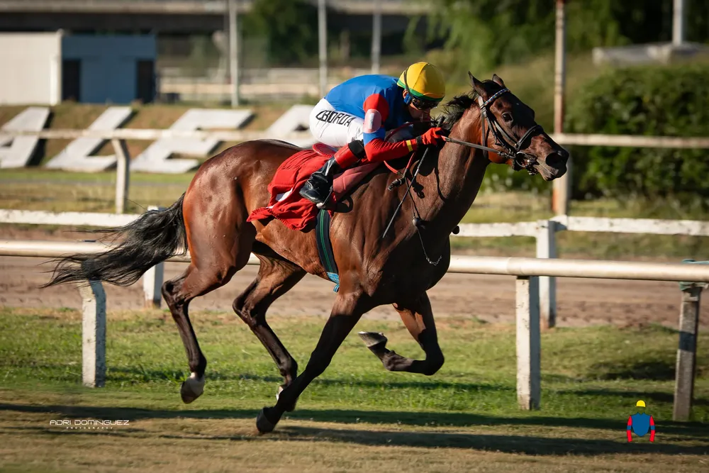 STORMY SUMMER caramp (1 de 8)