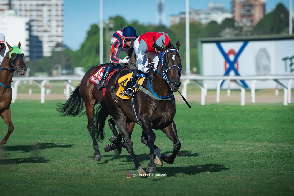 ALELABRADO 2102 (1 de 2)-topaz