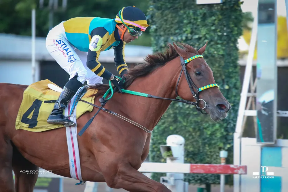 VICTORIA BAYERN (3 de 7)