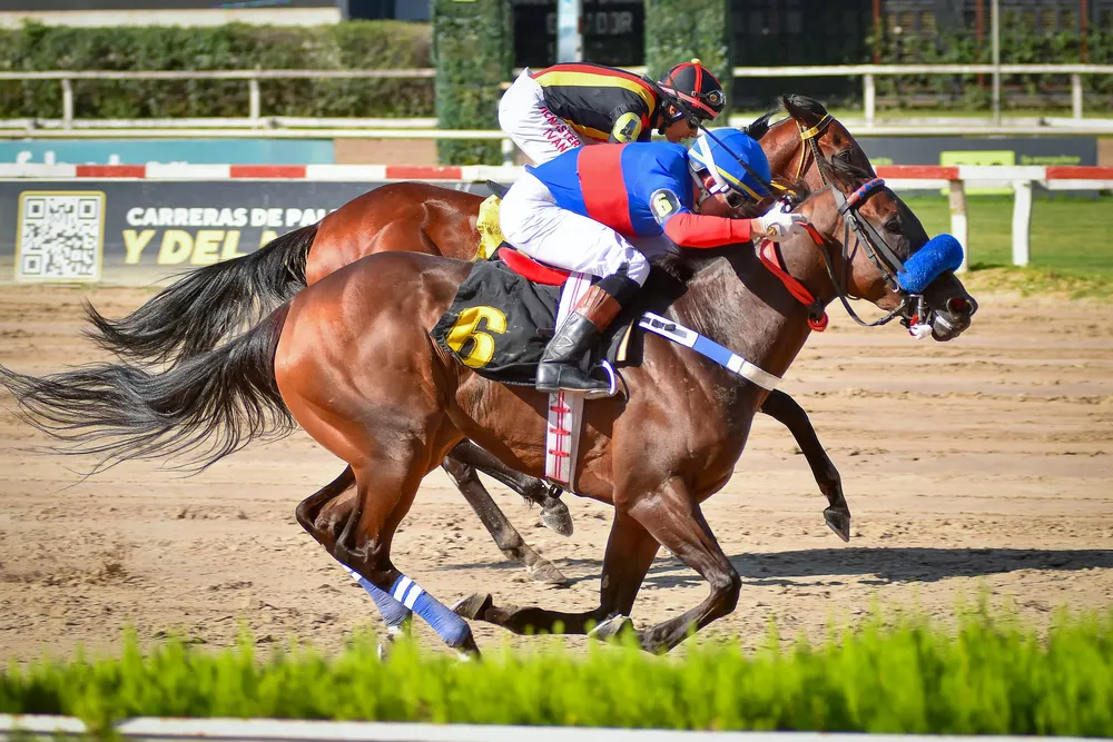 ENJOY DANCING (4 de 4)