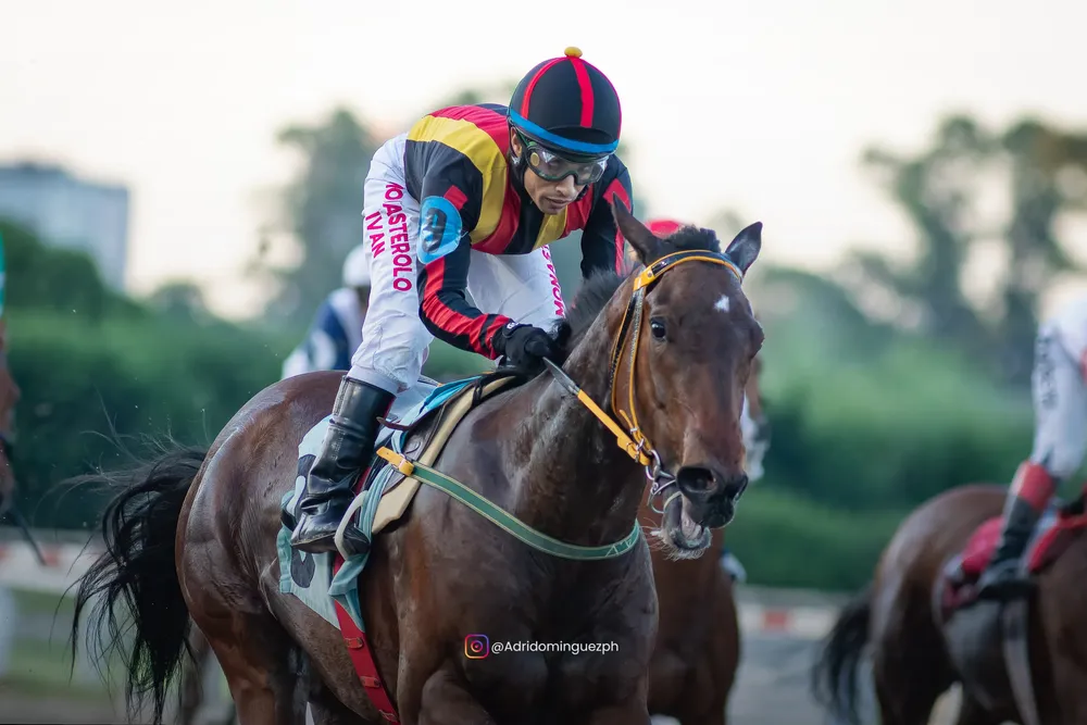 LISETTE ISLAND feed-2