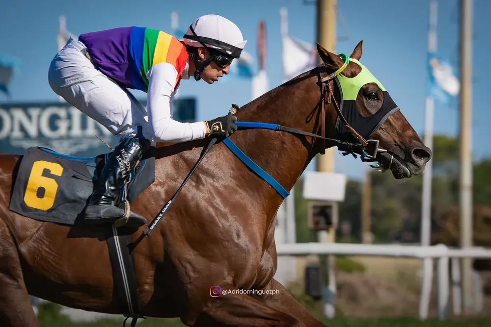 HIRAN WEB 01-02 (1 de 1)